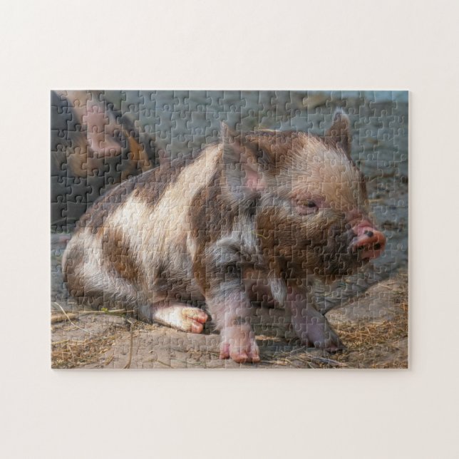 KuneKune Piglet Jigsaw Puzzle (Horizontal)