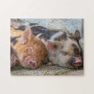 KuneKune Piglets Jigsaw Puzzle