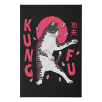 Kung Fu Cat