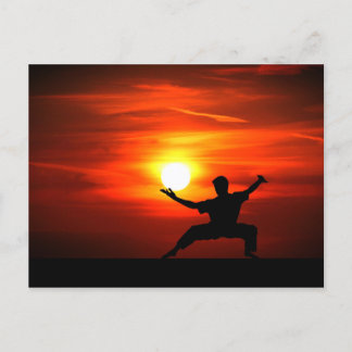 Kung Fu Fighting! Holiday Postcard