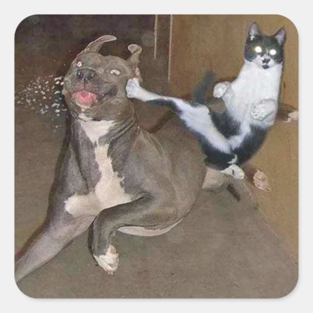 Kung Fu Kitty Square Sticker (Front)