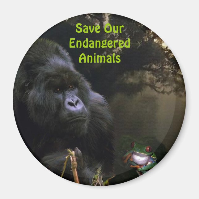 Kunga Mountain Gorilla & Frog Wildlife Art Magnet (Front)