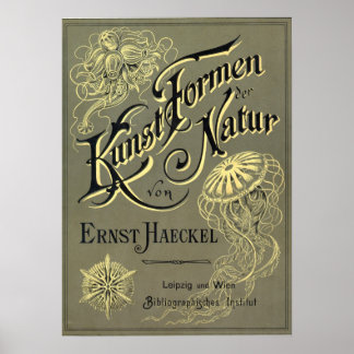 Kunstformen der Natur cover Poster