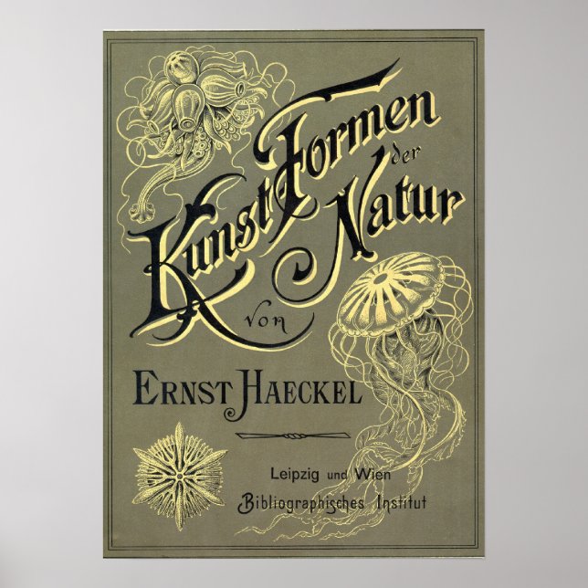 Kunstformen der Natur cover Poster (Front)