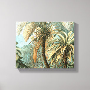 Kunstformen der Natur, Filicinae - Ernst Haeckel Canvas Print