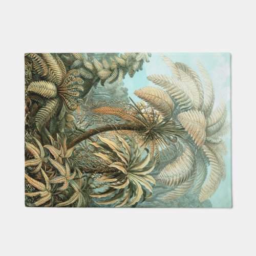 Kunstformen der Natur Filicinae _ Ernst Haeckel Doormat