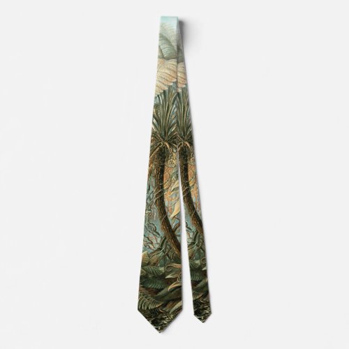 Kunstformen der Natur Filicinae _ Ernst Haeckel Neck Tie