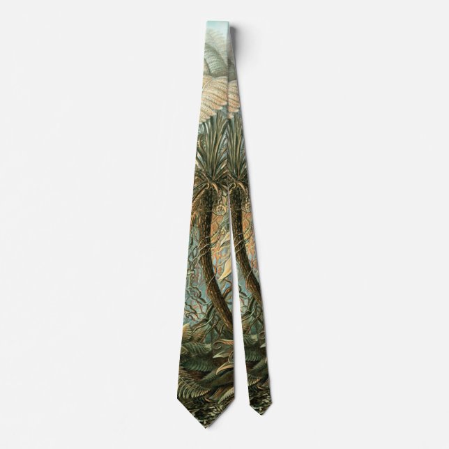 Kunstformen der Natur, Filicinae - Ernst Haeckel Neck Tie (Front)