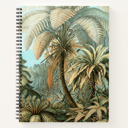 Kunstformen der Natur Filicinae _ Ernst Haeckel Notebook
