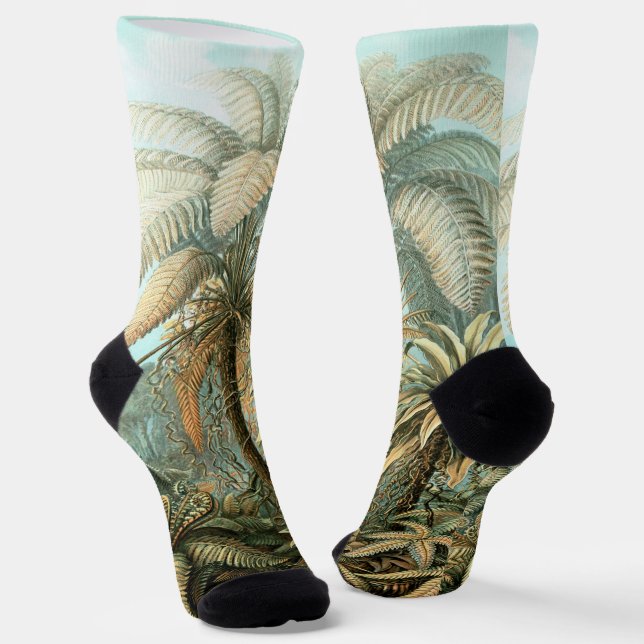 Kunstformen der Natur, Filicinae - Ernst Haeckel Socks (Angled)
