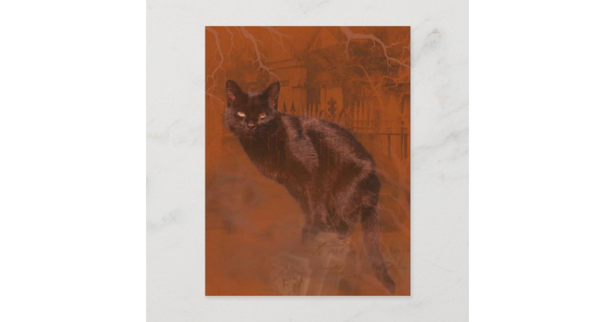 Kuroneko Kami Postcard | Zazzle