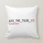 alex_the_tiler_  Kussen