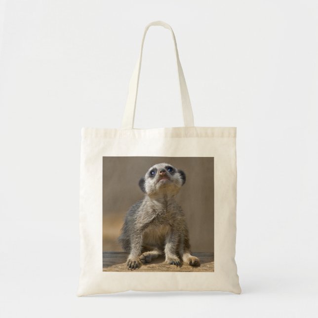Kute Kat Bag (Front)