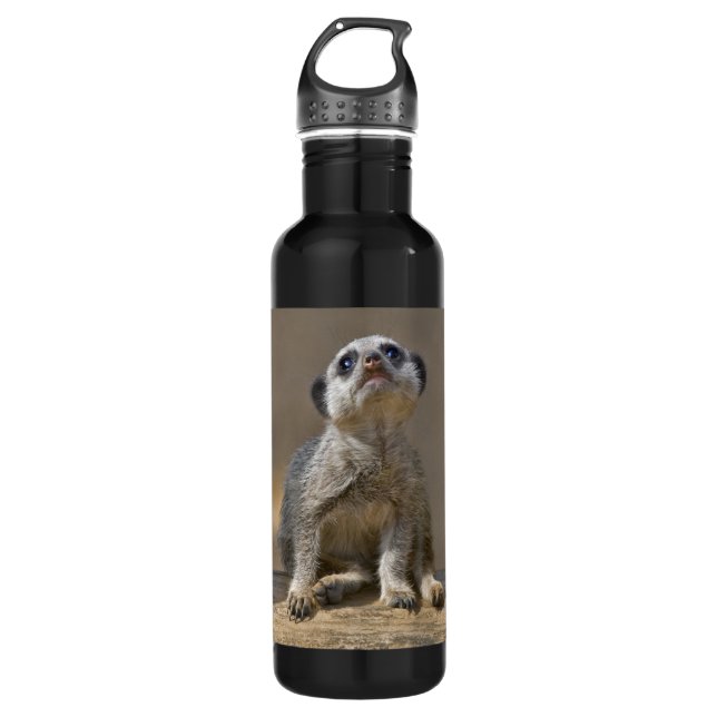 Kute Kat Water Bottle (Front)