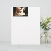 Kute Kitty! (Standing Front)
