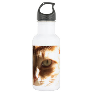 Kute Kitty! Stainless Steel Water Bottle