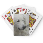 kuvasz-3.jpg poker cards
