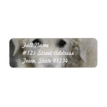 Kuvasz Dog Breed  Mailing Labels
