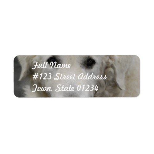 Kuvasz Dog Breed  Mailing Labels