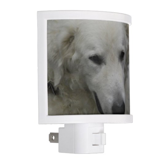 Kuvasz Dog Breed Night Light (Right)
