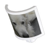 Kuvasz Dog Breed Night Light (Angled)