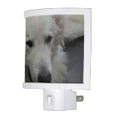 Kuvasz Dog Breed Night Light (Left)