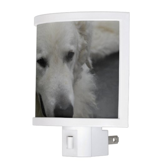 Kuvasz Dog Breed Night Light (Left)