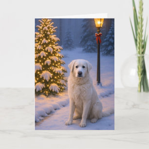 Kuvasz Holiday Card