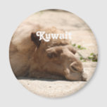 Kuwait Camel Magnet