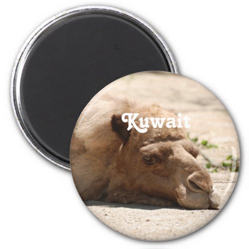 Kuwait Camel Magnet