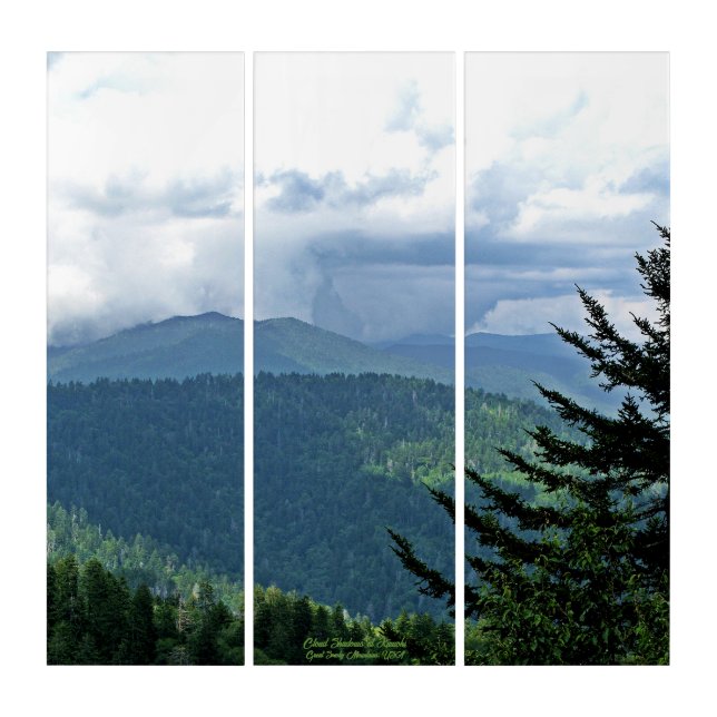 Kuwohi Scenic Cloud Shadows Great Smoky Mountains Triptych (Front)