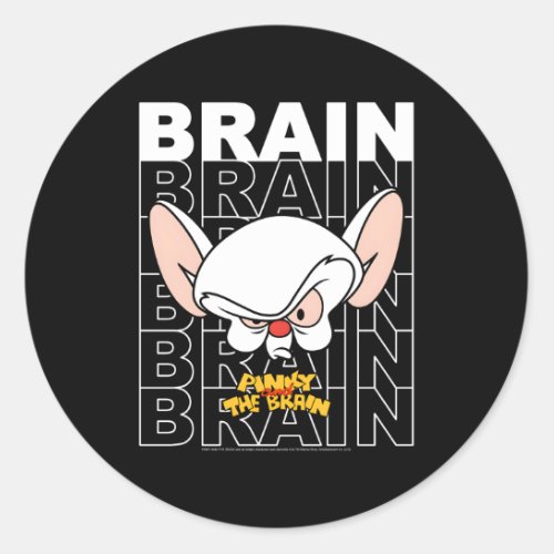 Ky And The Brain Text Stack Big Face Classic Round Sticker