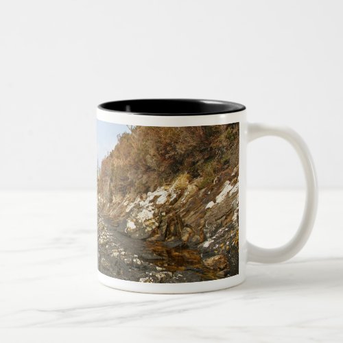 Kyleakin Scotland The ancient ruins of Two_Tone Coffee Mug