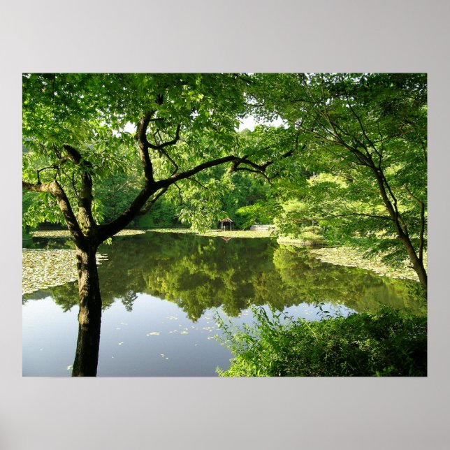 Kyoto Japan Reflections Poster (Front)