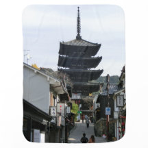 Kyoto's famous spots