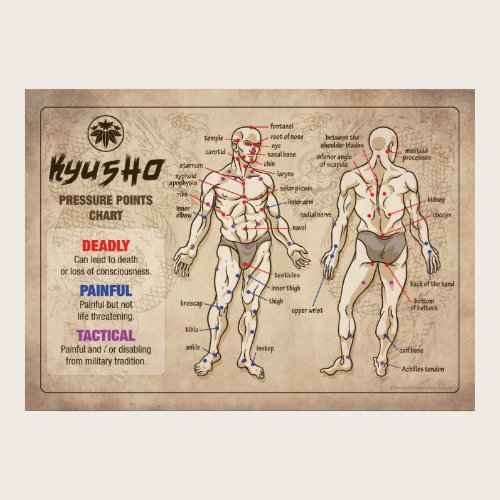 Kyusho - Human Body Pressure Points Chart