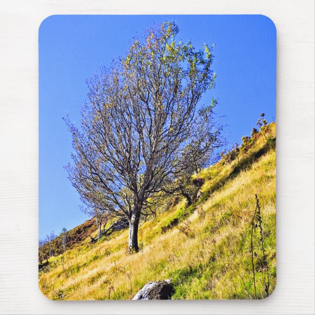 L0NE TREE MOUSE PAD (Front)