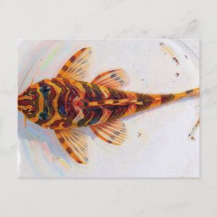 L134 pleco leopard frog postcard
