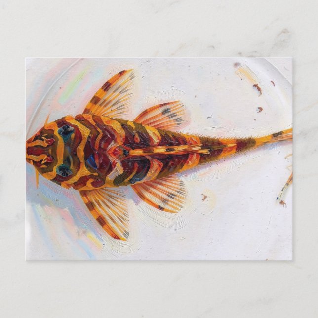 L134 pleco leopard frog  postcard (Front)
