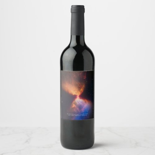 L1527 and Protostar _ James Webb Space Telescope Wine Label