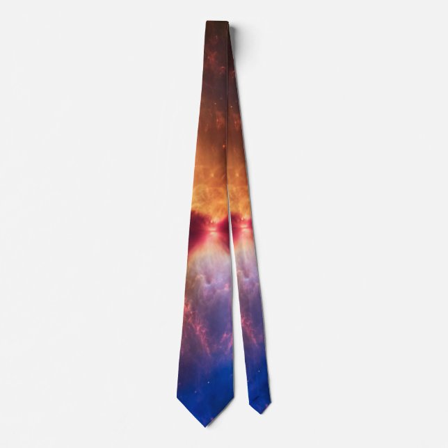 L1527 and Protostar - James Webb Telescope Neck Tie (Front)