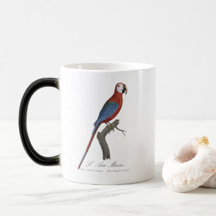 L' Ara Macao / Red and green Macaw  Color Morph Mug