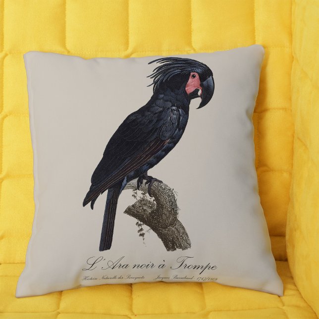 L' Ara Noir a Trompe / Palm Cockatoo  Throw Pillow (L' Ara Noir a Trompe / Palm Cockatoo. Throw Pillow)