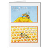 La Abeja, tarjeta (Front)