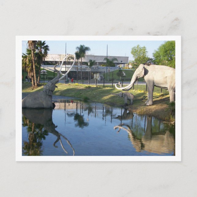 LA BREA TAR PITS #1 Postcard (Front)