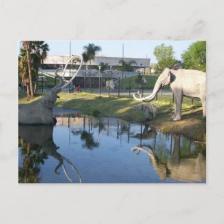  LA BREA TAR PITS #2 Postcard