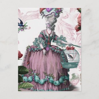 La Cage Aux Oiseaux  (the Bird Cage) Postcard by WickedlyLovely at Zazzle