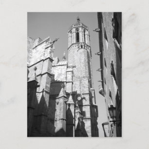 La Catedral Gargoyles Postcard (Barcelona, Spain)