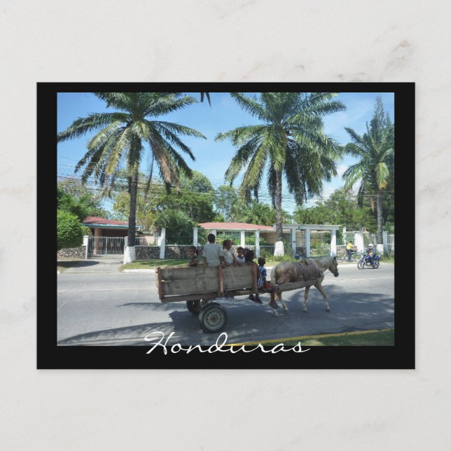 la ceiba transport postcard (Front)