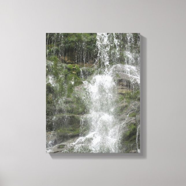 La Chute Waterfall in Forillon National Park Canvas Print (Front)